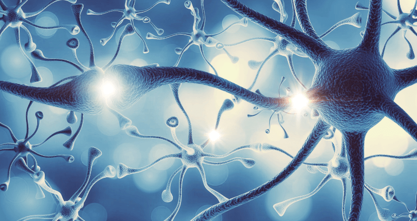 An Overview of Limbic System Disorders