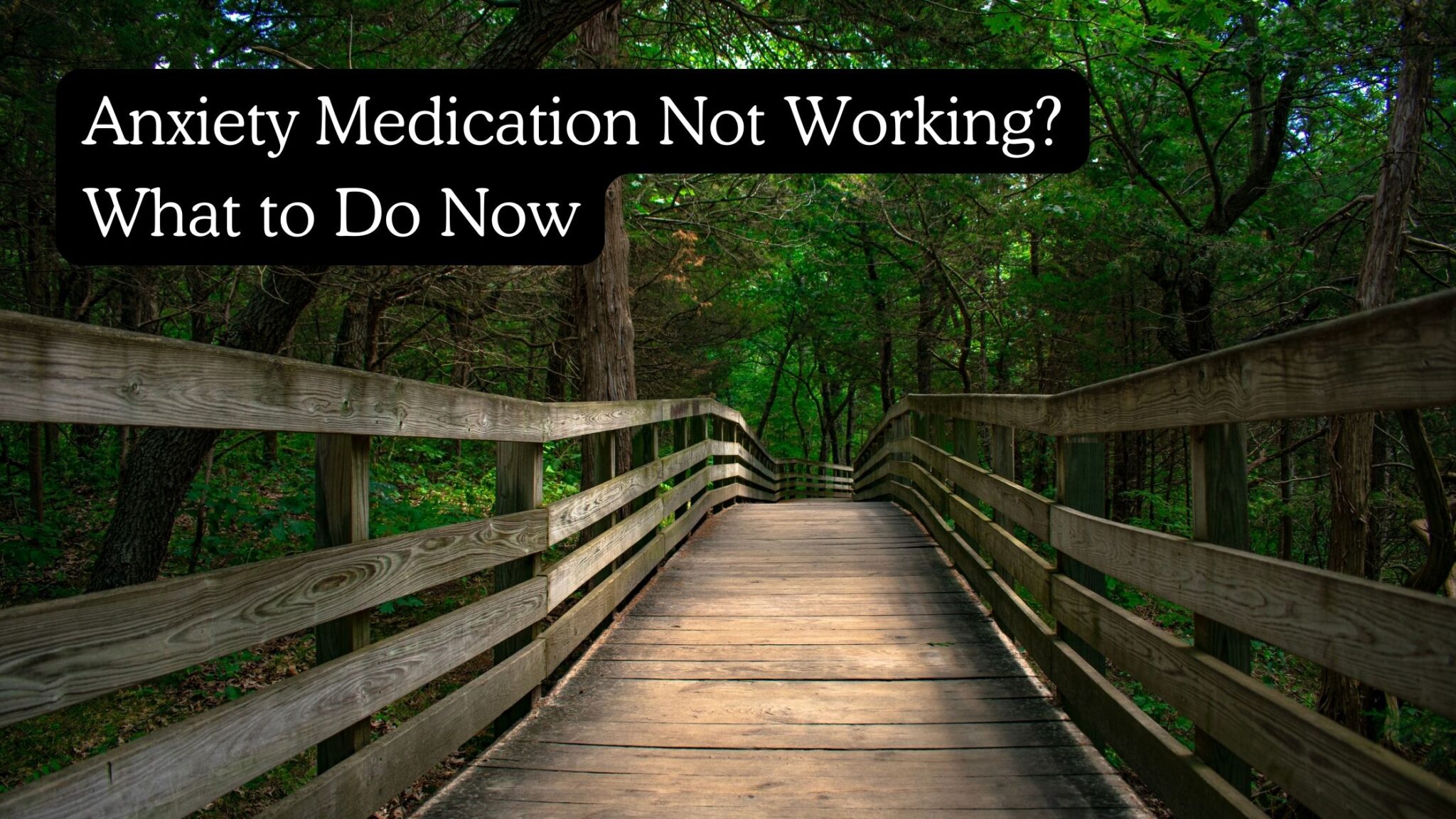 Anxiety Medication Not Working: What to Do Now