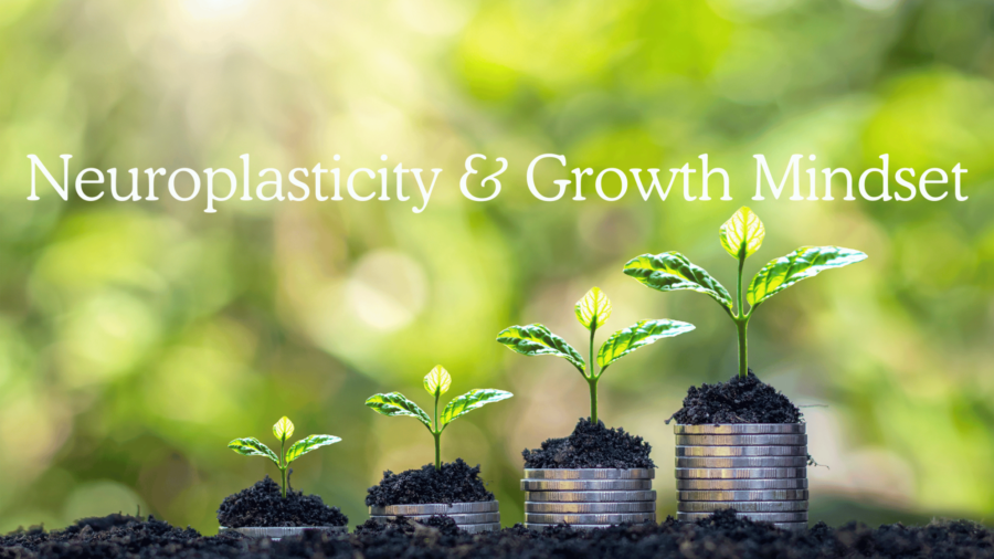 Neuroplasticity and Growth Mindset