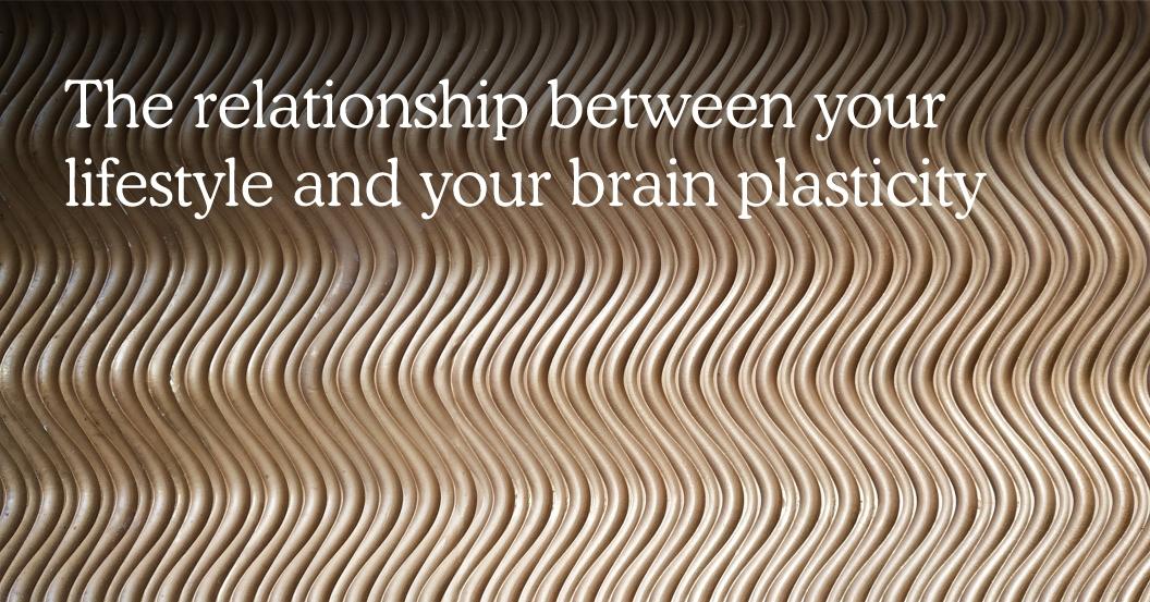 The Relationship Between Your Lifestyle and Brain Plasticity