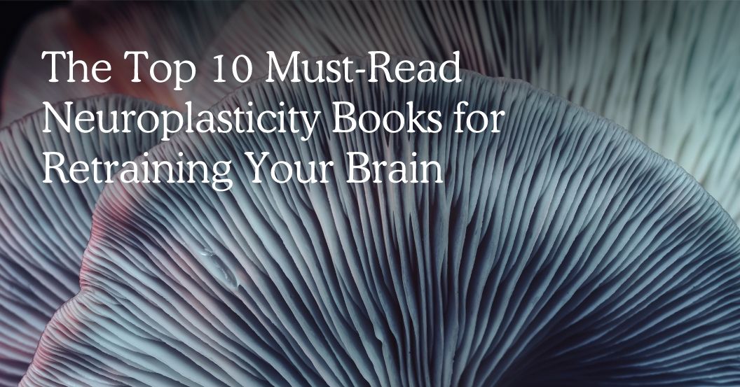 Top 10 Neuroplasticity Books to Read for Brain Retraining