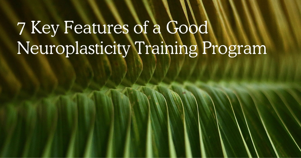7 Key ​​Features of a Good Neuroplasticity Training Program