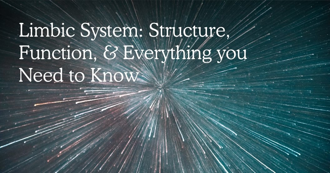 The Important Role of the Limbic System: Structure, Function, & Everything You Need to Know