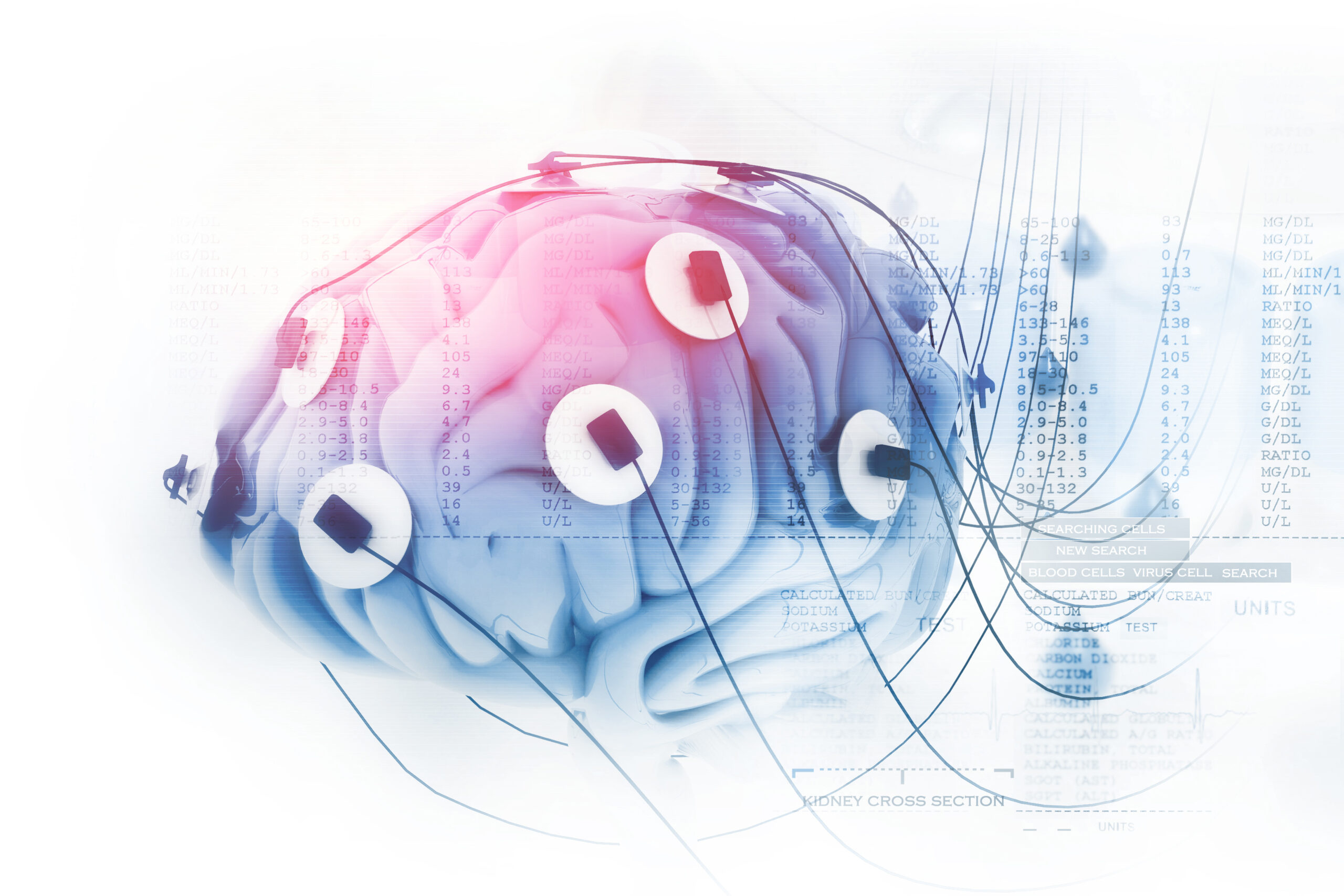 What Is A Brain Rewiring Program And How Does It Work?