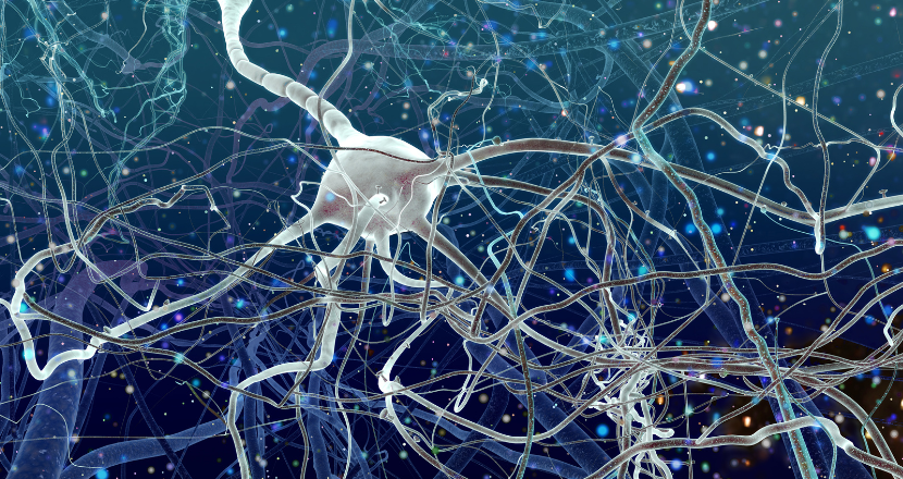 How Long Does It Take to Rewire Your Brain?