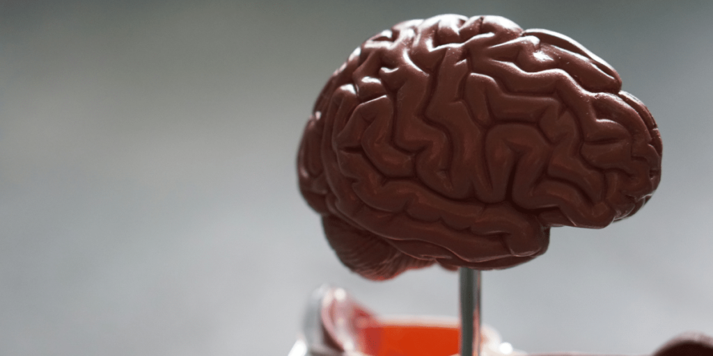 Neuroplasticity Overcoming Chronic Illness with re-origin