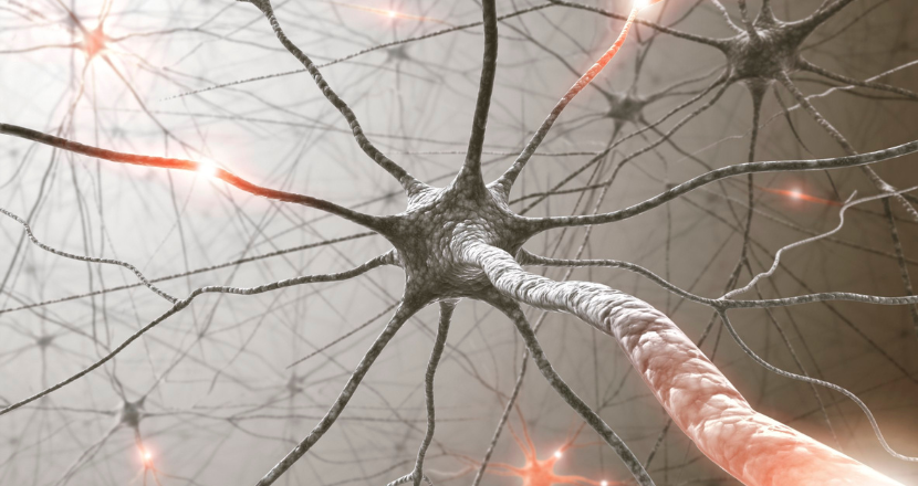 Polyvagal Theory